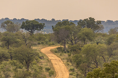 Self-Drive Safaris into Kruger Park from Marloth