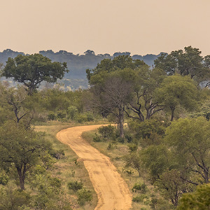 Romantic Self Drive Safari In The Kruger